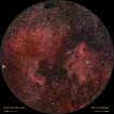 ngc7000_pelican_nfo.jpg