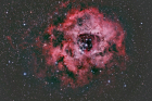 rose_Forums
