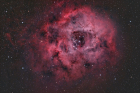 rose_HS4_10subs_4mins_2star_Forums_SX