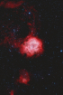 rose_opto_200mm_10subs_20mins_Forums