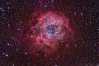rosette_m25c_2_small.jpg