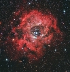 Rosette reprocess