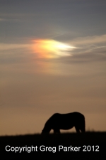 Sundog sunset
