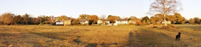 New Forest Panorama Mosaic