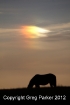 Sundog sunset