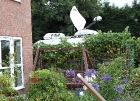 img_1452_cs3_forum