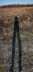 low_winter_sun_forum