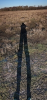 low-winter-sun
