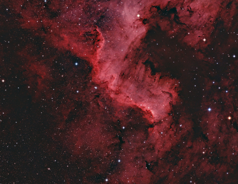 CygnusWall