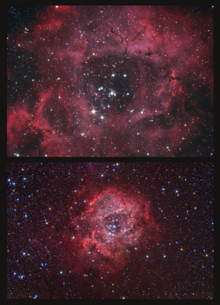 Rosette-Zoom-In-Out_NFO