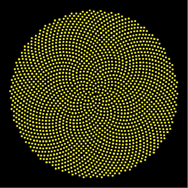 Sunflower_2000_Forums