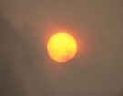IMG_2679_Forums