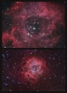 Rosette Zoom In Out_Forums
