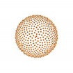 Sunflower_3D_Top