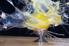 egg_shot