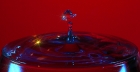 spiked_drink