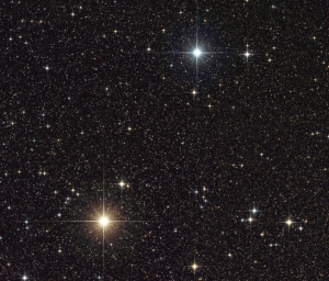 Castor and Pollux