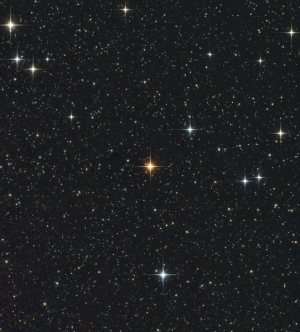 Superba 200mm lenses