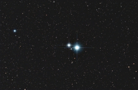 alcor_Forums