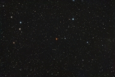 Hind's Crimson Star