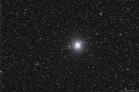 procyon_greg_noel_small.jpg