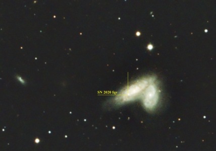 siamSN_HSIII_Zoom_Forums_Annotated
