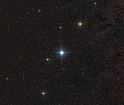 Altair_Forums