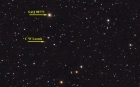 C W Leonis or IRC +10216