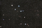 Delphinus_Akira_Fujii_Forum