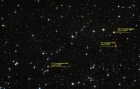The Carbon stars of Kemble's Cascade