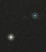 Procyon_and_Gomeisa_Forums