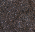Sagitta_Crop_and4X_Forums