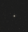 Vindemiatrix_Forums