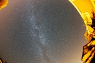 img_1378_perseid1_forum