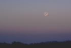 mercury_moon_nfoii.jpg