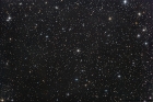 not_ngc1333_forum