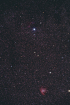 gamma_Orientate_Forums