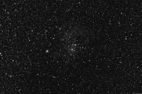rosette_r72.jpg
