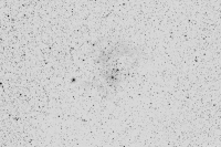 rosette_r72_bw_small.jpg