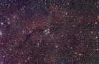 Pazmino's Cluster