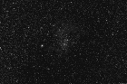 rosette_r72.jpg