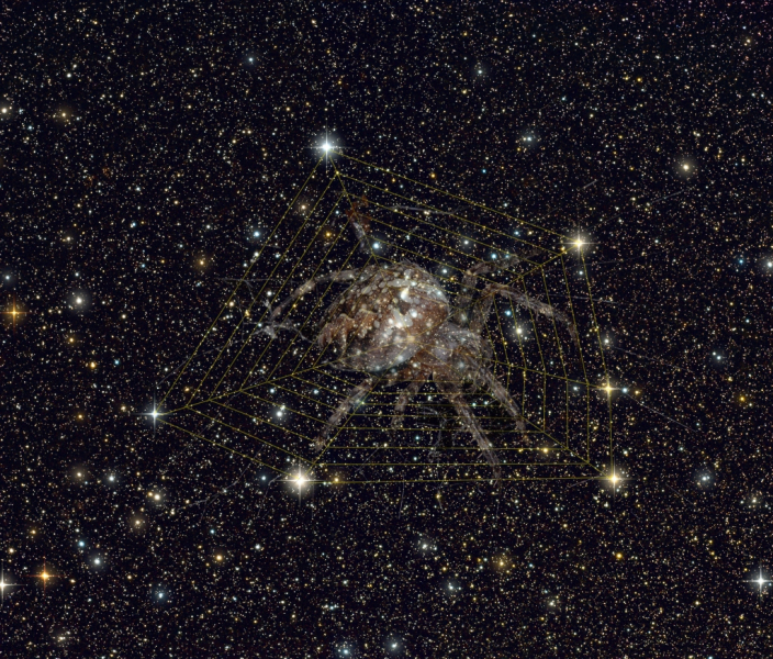 Cosmic_web_with_spider_Forums