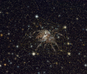 Cosmic_web_with_spider_Forums